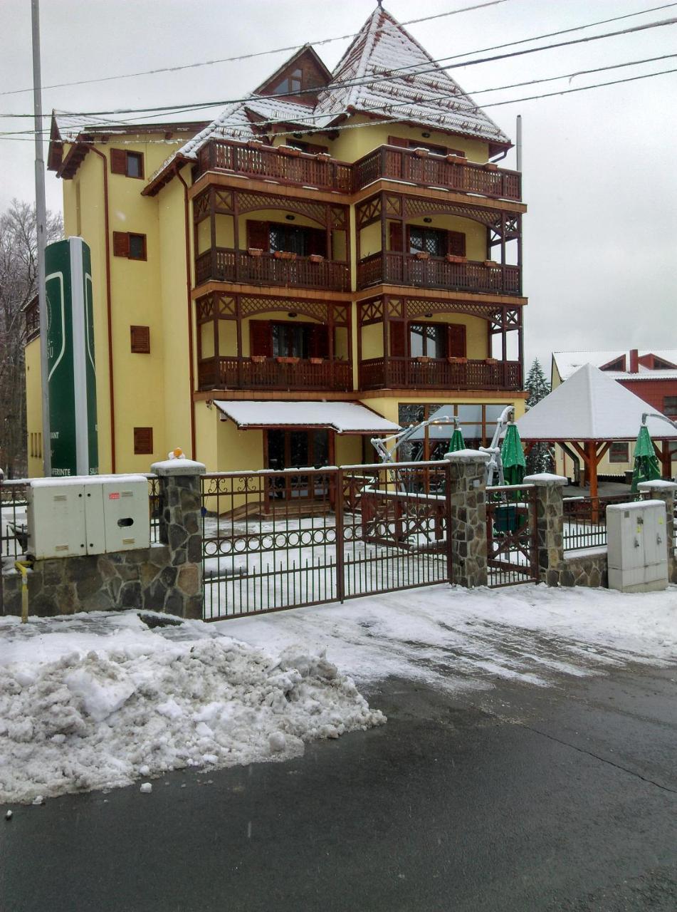 Vila Ursu Din Sovata Bai Exterior foto